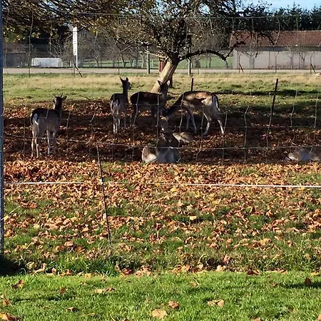 Ξενοδοχείο Et L'ecrin 88 Vosges Grandvillers