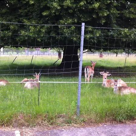 Et L'ecrin 88 Vosges