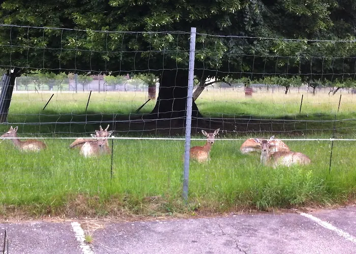 Et L'ecrin 88 Vosges Hotell