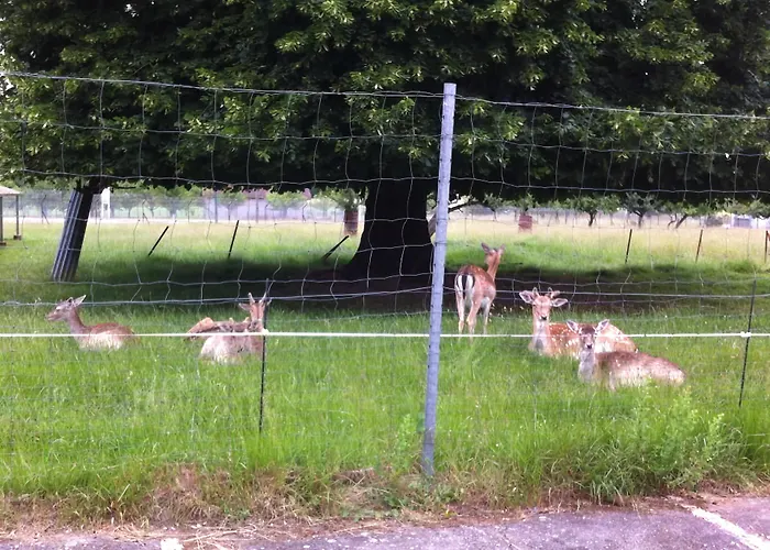 Et L'ecrin 88 Vosges